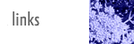homepage001004.gif