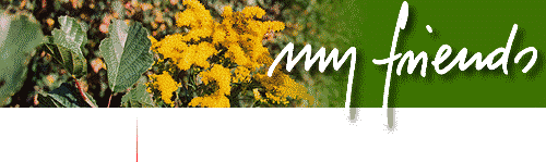 homepage002002.gif