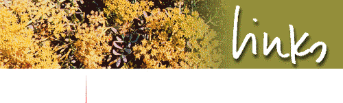 p10lintop.gif